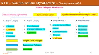 Non tuberculous mycobacteria | PDF