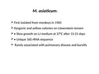 M. asiaticum:
First isolated from monkeys in 1965
Dysgonic and yellow colonies on Löwenstein-Jensen
• Slow growth on LJ medium at 37°C after 15-21 days
• Unique 16S rRNA sequence
 Rarely associated with pulmonary disease and bursitis
 