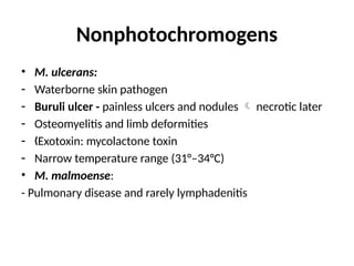Nonphotochromogens
• M. ulcerans:
- Waterborne skin pathogen
- Buruli ulcer - painless ulcers and nodules  necrotic later
- Osteomyelitis and limb deformities
- Exotoxin: mycolactone toxin
„
- Narrow temperature range (31°–34°C)
• ™M. malmoense:
- Pulmonary disease and rarely lymphadenitis
 
