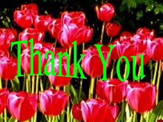 Nonverbal communication