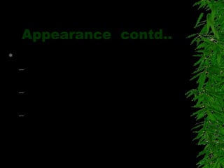 Appearance contd..
 Body shape and size
– Endomorphous – Fat : Good natured,
agreeable, Talkative
– Ectomorphous – Skinny : Tense,
Nervous, Quiet
– Mesomorphous: Muscular, Self reliant,
Adventurous
 