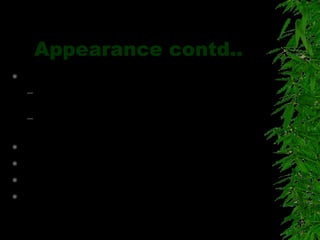 Appearance contd..
 Height
– Tall people : Credible, Compentent,
Responsible, Trustworthy
– Short people : Manipulative
The inferences may not be correct.
 Gender
 Age
 Attractiveness
 Skin Color
 