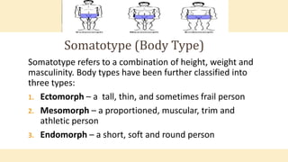 Somatotype refers to a combination of height, weight and
masculinity. Body types have been further classified into
three types:
1. Ectomorph – a tall, thin, and sometimes frail person
2. Mesomorph – a proportioned, muscular, trim and
athletic person
3. Endomorph – a short, soft and round person
Somatotype (Body Type)
 