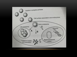 Non viral delivery systems for gene therapy (1) | PDF