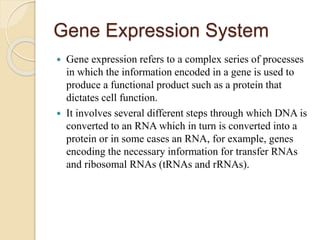 Gene Expression System
 Gene expression refers to a complex series of processes
in which the information encoded in a gene is used to
produce a functional product such as a protein that
dictates cell function.
 It involves several different steps through which DNA is
converted to an RNA which in turn is converted into a
protein or in some cases an RNA, for example, genes
encoding the necessary information for transfer RNAs
and ribosomal RNAs (tRNAs and rRNAs).
 