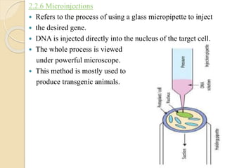 2.2.6 Microinjections
 Refers to the process of using a glass micropipette to inject
 the desired gene.
 DNA is injected directly into the nucleus of the target cell.
 The whole process is viewed
under powerful microscope.
 This method is mostly used to
produce transgenic animals.
 