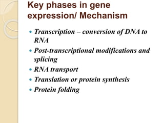 Key phases in gene
expression/ Mechanism
 Transcription – conversion of DNA to
RNA
 Post-transcriptional modifications and
splicing
 RNA transport
 Translation or protein synthesis
 Protein folding
 