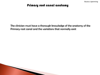 Primary root canal anatomy The clinician must have a thorough knowledge of the anatomy of the Primary root canal and the variations that normally exist Access openning 