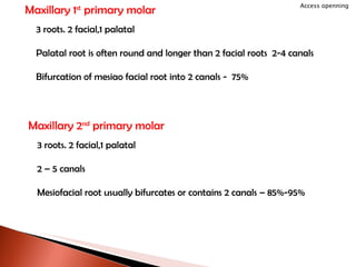 Maxillary 2 nd  primary molar 3 roots. 2 facial,1 palatal 2 – 5 canals Mesiofacial root usually bifurcates or contains 2 canals – 85%-95% Maxillary 1 st  primary molar 3 roots. 2 facial,1 palatal Palatal root is often round and longer than 2 facial roots  2-4 canals Bifurcation of mesiao facial root into 2 canals -  75% Access openning 