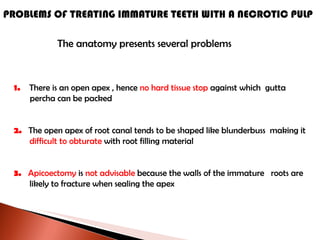 PROBLEMS OF TREATING IMMATURE TEETH WITH A NECROTIC PULP The anatomy presents several problems 1.  There is an open apex , hence  no hard tissue stop  against which  gutta percha can be packed 2.  The open apex of root canal tends to be shaped like blunderbuss  making it difficult to obturate  with root filling material 3.  Apicoectomy  is  not advisable  because the walls of the immature  roots are likely to fracture when sealing the apex 