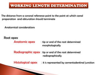 The distance from a coronal reference point to the point at which canal preparation  and obturation should terminate Anatomical considerations Root apex Anatomic apex  :  tip or end of the root determined    morphologically Radiographic apex  :  tip or end of the root determined    radiographically Histological apex  :  it is represented by cementodentinal junction WORKING LENGTH DETERMINATION 