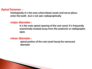Apical foramen  :- histologically it is the area where blood vessels and nerve plexus enter the tooth , but is not seen radiographically major diameter  : it is the main apical opening of the root canal. It is frequently eccentrically located away from the anatomic or radiographic apex minor diameter  :   apical portion of the root canal havig the narrowest   diameter 