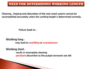 Cleaning , shaping and obturation of the root canal systems cannot be  accomplished accurately unless the working length is determined correctly. Failure leads to : Working long  :  may lead to  overfilling  or  overextension Working short  :   results in incomplete cleaning   persistent  discomfort as the pulpal remnants are left NEED FOR DETERMINING WORKING LENGTH 