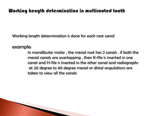 Working kength determination in multirooted tooth Working length determination is done for each root canal example : in mandibular molar , the mesial root has 2 canals . if both the mesial canals are overlapping , then K-file is inserted in one canal and H-file is inserted in the other canal and radiographs   at 20 degree to 40 degree mesial or distal angulations are  taken to view all the canals 