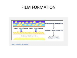 FILM FORMATION
 