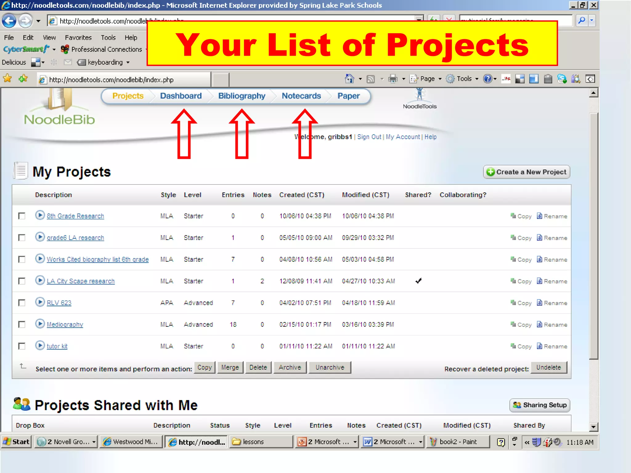 Your List of Projects 