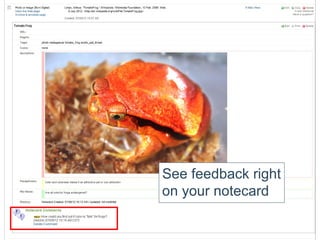 See feedback right
on your notecard
 