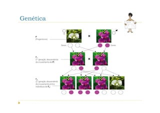 Genética
 