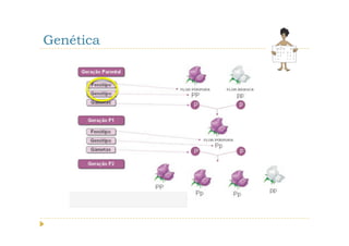 Genética
 