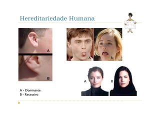Hereditariedade Humana




                      A   B




                  A       B

A - Dominante
B - Recessivo
 