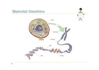 Material Genético
 