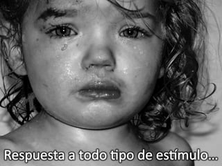 Los Niños no Olvidan. Parte 3