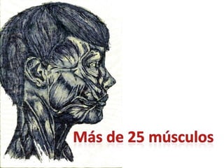 Los Niños no Olvidan. Parte 3