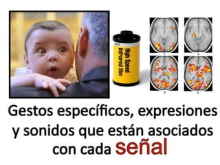 Los Niños no Olvidan. Parte 3