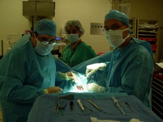 Los Niños no Olvidan. Parte 4