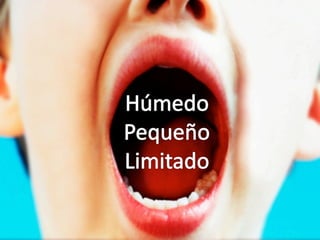 Los Niños no Olvidan. Parte 4