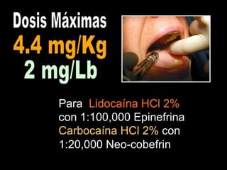 Los Niños no Olvidan. Parte 4