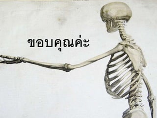 ขอบคุณค่ะ
 