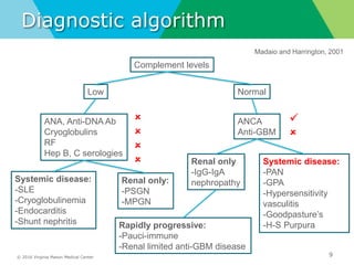 © 2016 Virginia Mason Medical Center
Diagnostic algorithm
9
Madaio and Harrington, 2001
Complement levels
NormalLow
ANA, Anti-DNA Ab
Cryoglobulins
RF
Hep B, C serologies
ANCA
Anti-GBM
Renal only:
-PSGN
-MPGN
Renal only
-IgG-IgA
nephropathySystemic disease:
-SLE
-Cryoglobulinemia
-Endocarditis
-Shunt nephritis
Systemic disease:
-PAN
-GPA
-Hypersensitivity
vasculitis
-Goodpasture’s
-H-S PurpuraRapidly progressive:
-Pauci-immune
-Renal limited anti-GBM disease






 