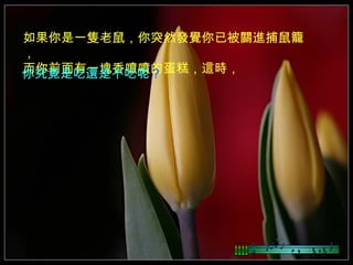 如果你是一隻老鼠，你突然發覺你已被關進捕鼠籠
，
而你前面有一塊香噴噴的蛋糕，這時，
你究竟是吃還是不吃呢？ 
 