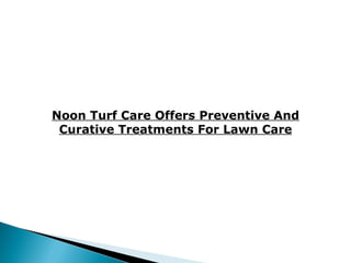 Noon Turf Care Offers Preventive And Curative Treatments For Lawn Care 