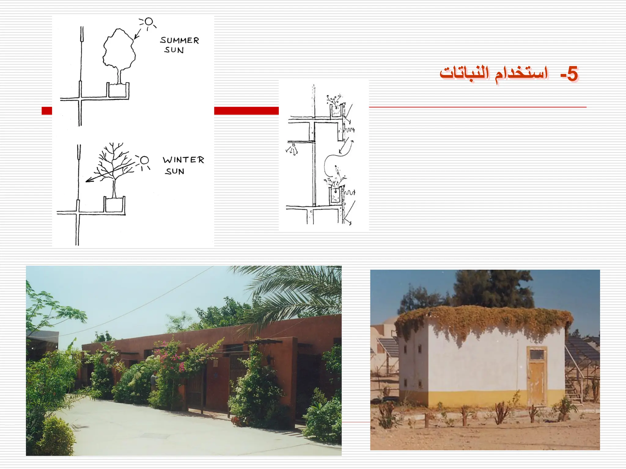 5
-
‫النباتات‬ ‫استخدام‬
 