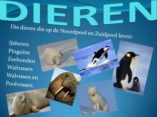 Noordpool en zuidpool | PPTX