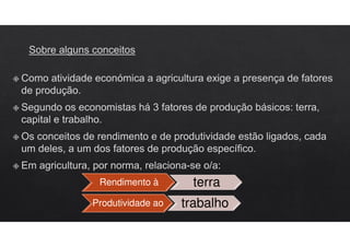 Rendimento à terra
Produtividade ao trabalho
 
