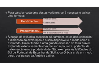 • Produção obtida
• Área ocupada
Rendimento=
• Produção obtida
• Nº de trabalhadores/nº de horas
Produtividade=
 