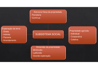 SUBSISTEMA SOCIAL
Estrutura física da propriedade.
- Parcelaria
- Contínua
Propriedade agrícola:
- Individual
- Cooperativa
- Coletiva
Dimensão da propriedade:
- Minifúndio
- Latifúndio
- Grande exploração
Exploração da terra:
- Direta
- Indireta
- Parceria
- Arrendamento
 