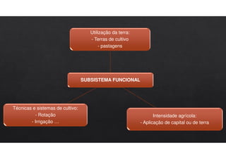 SUBSISTEMA FUNCIONAL
Utilização da terra:
- Terras de cultivo
- pastagens
Intensidade agrícola:
- Aplicação de capital ou de terra
Técnicas e sistemas de cultivo:
- Rotação
- Irrigação …
 