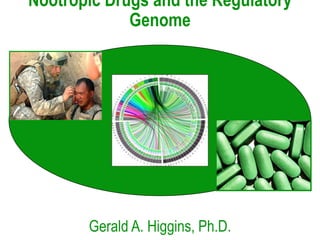 Nootropic Drugs and the Regulatory
Genome
Gerald A. Higgins, Ph.D.
 