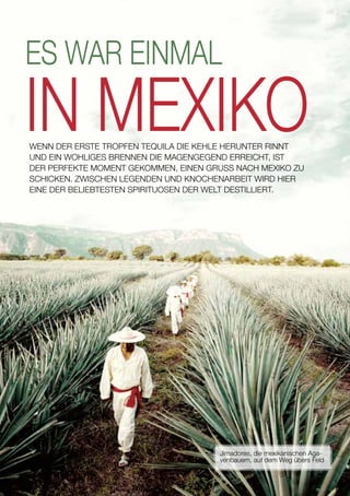 ES WAR EINMAL
IN MEXIKOWENN DER ERSTE TROPFEN TEQUILA DIE KEHLE HERUNTER RINNT
UND EIN WOHLIGES BRENNEN DIE MAGENGEGEND ERREICHT, IST
DER PERFEKTE MOMENT GEKOMMEN, EINEN GRUSS NACH MEXIKO ZU
SCHICKEN. ZWISCHEN LEGENDEN UND KNOCHENARBEIT WIRD HIER
EINE DER BELIEBTESTEN SPIRITUOSEN DER WELT DESTILLIERT.
Jimadores, die mexikanischen Aga-
venbauern, auf dem Weg übers Feld
22
 