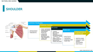 WWW.7MINUTESTOFIT.COM
NO PAIN, BIG GAINS!
COMMON PROBLEMS
• IMPINGEMENT
• TENDONITIS
COMMON CAUSES
• TIGHT ANTERIOR
MUSCLES/WEAK
POSTERIOR
MUSCLES
• IMPROPER
SCAPULAR
MOTION (UPPER
TRAP DOMINANCE/
LOWER TRAP
WEAKNESS)
RELEASE
• TENNIS
BALL/FOAM
ROLLER;
INFRASPINATUS/
THORACIC SPINE
• WALL CHEST
STRETCH/FOAM
ROLLER PEC
MINOR RELEASE
MOBILIZE
• W’S/T’S/Y’S
• SWIMMERS
• STRAIGHT ARM
PUSH-UPS
• SEATED ROWS
• STRAIGHT ARM
CROSS
PULLDOWNS
• FACE PULLS
STRENGTHEN &
CONDITION
 
