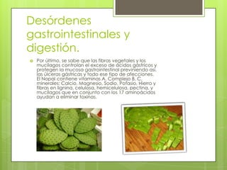 Desórdenes
gastrointestinales y
digestión.
   Por último, se sabe que las fibras vegetales y los
    mucílagos controlan el exceso de ácidos gástricos y
    protegen la mucosa gastrointestinal previniendo así,
    las úlceras gástricas y todo ese tipo de afecciones.
    El Nopal contiene vitaminas A, Complejo B, C,
    minerales: Calcio, Magnesio, Sodio, Potasio, Hierro y
    fibras en lignina, celulosa, hemicelulosa, pectina, y
    mucílagos que en conjunto con los 17 aminoácidos
    ayudan a eliminar toxinas.
 