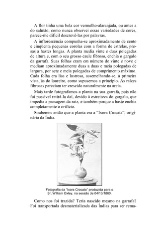 A flor tinha uma bela cor vermelho-alaranjada, ou antes a 
do salmão; como nunca observei essas variedades de cores, 
parece-me difícil descrevê-las por palavras. 
A inflorescência compunha-se aproximadamente de cento 
e cinqüenta pequenas corolas com a forma de estrelas, pre-sas 
a hastes longas. A planta media vinte e duas polegadas 
de altura e, com o seu grosso caule fibroso, enchia o gargalo 
da garrafa. Suas folhas eram em número de vinte e nove e 
mediam aproximadamente duas a duas e meia polegadas de 
largura, por sete e meia polegadas de comprimento máximo. 
Cada folha era lisa e lustrosa, assemelhando-se, à primeira 
vista, às do loureiro, como supusemos a princípio. As raízes 
fibrosas pareciam ter crescido naturalmente na areia. 
Mais tarde fotografamos a planta na sua garrafa, pois não 
foi possível retirá-la daí, devido à estreiteza do gargalo, que 
impedia a passagem da raiz, e também porque a haste enchia 
completamente o orifício. 
Soubemos então que a planta era a “Ixora Crocata”, origi-nária 
da Índia. 
Fotografia da “Ixora Crocata” produzida para o 
Sr. William Oxley, na sessão de 04/10/1880. 
Como nos foi trazida? Teria nascido mesmo na garrafa? 
Foi transportada desmaterializada das Índias para ser rema- 
 