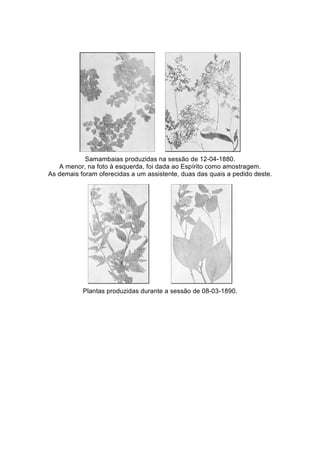 Samambaias produzidas na sessão de 12-04-1880. 
A menor, na foto à esquerda, foi dada ao Espírito como amostragem. 
As demais foram oferecidas a um assistente, duas das quais a pedido deste. 
Plantas produzidas durante a sessão de 08-03-1890. 
 