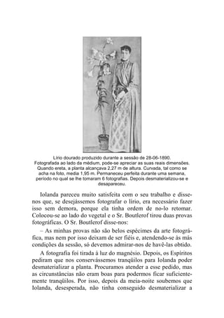 Lírio dourado produzido durante a sessão de 28-06-1890. 
Fotografada ao lado da médium, pode-se apreciar as suas reais dimensões. 
Quando ereta, a planta alcançava 2,27 m de altura. Curvada, tal como se 
acha na foto, media 1,95 m. Permaneceu perfeita durante uma semana, 
período no qual se lhe tomaram 6 fotografias. Depois desmaterializou-se e 
desapareceu. 
Iolanda pareceu muito satisfeita com o seu trabalho e disse-nos 
que, se desejássemos fotografar o lírio, era necessário fazer 
isso sem demora, porque ela tinha ordem de no-lo retomar. 
Colocou-se ao lado do vegetal e o Sr. Boutlerof tirou duas provas 
fotográficas. O Sr. Boutlerof disse-nos: 
– As minhas provas não são belos espécimes da arte fotográ-fica, 
mas nem por isso deixam de ser fiéis e, atendendo-se às más 
condições da sessão, só devemos admirar-nos de havê-las obtido. 
A fotografia foi tirada à luz do magnésio. Depois, os Espíritos 
pediram que nos conservássemos tranqüilos para Iolanda poder 
desmaterializar a planta. Procuramos atender a esse pedido, mas 
as circunstâncias não eram boas para podermos ficar suficiente-mente 
tranqüilos. Por isso, depois da meia-noite soubemos que 
Iolanda, desesperada, não tinha conseguido desmaterializar a 
 