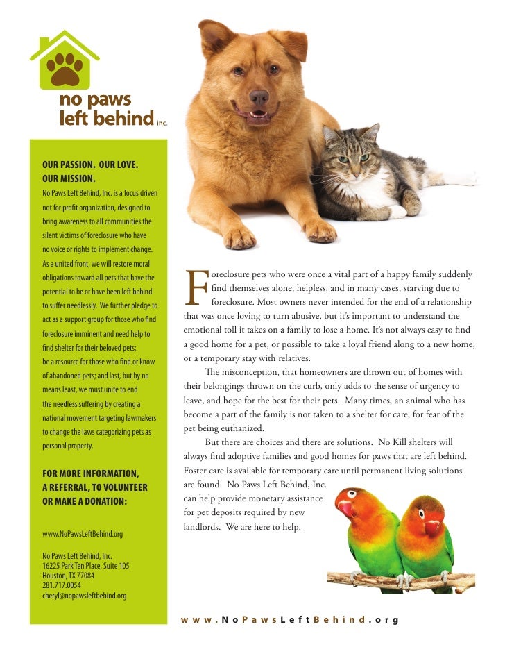 No Profit Left Behind >> No Paws Left Behind No Profit Left Behind >> No Paws Left Behind