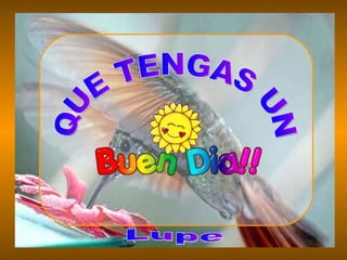 QUE TENGAS UN Lupe 